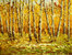 cuadros modernos "Bosque de abedules en otoño I"
