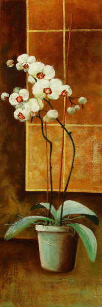 cuadros modernos "Maceta en flor II"